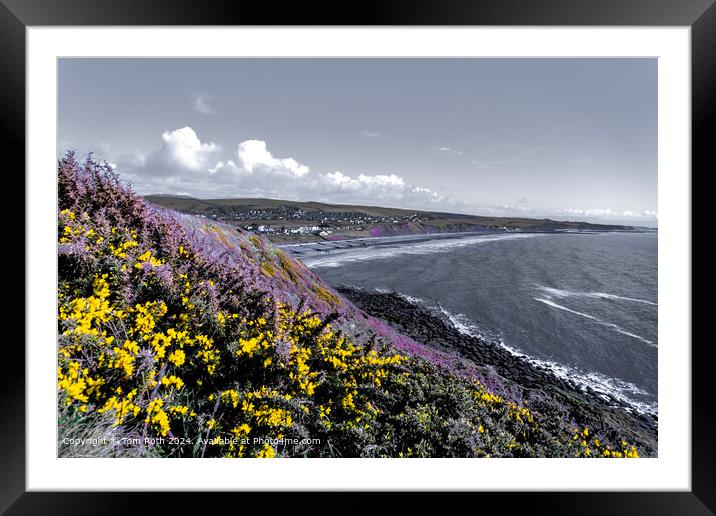 St Bees Colorful Wildflowers Framed Mounted Print by Tom Roth
