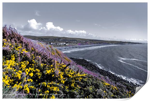 St Bees Colorful Wildflowers Print by Tom Roth