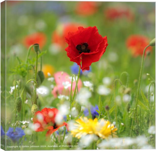 Summer Wild flower meadow with Poppies  Corn flowers and meadow flowers Canvas Print by Simon Johnson