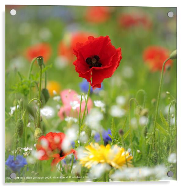 Summer Wild flower meadow with Poppies  Corn flowers and meadow flowers Acrylic by Simon Johnson