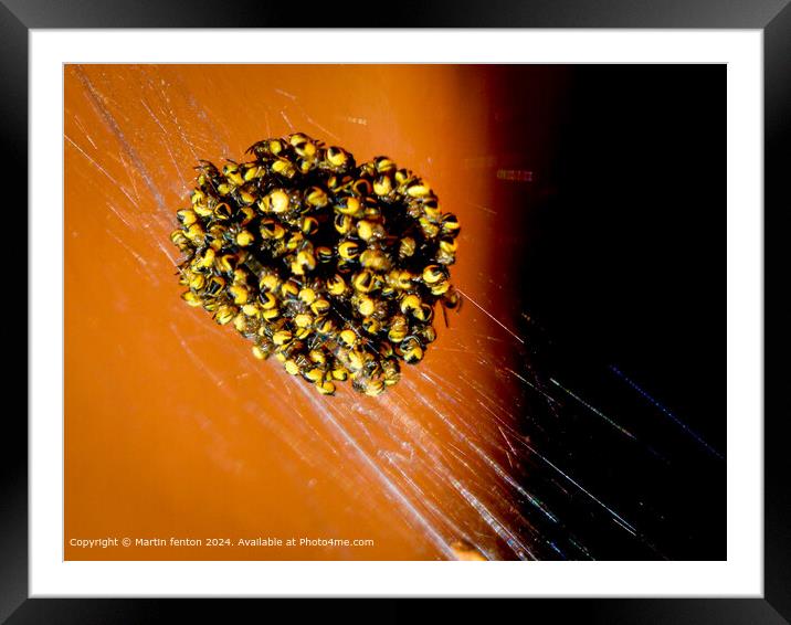 The light and the spiders web Framed Mounted Print by Martin fenton