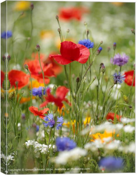 Summer Wild flower meadow with Poppies  Corn flowers and meadow flowers Canvas Print by Simon Johnson