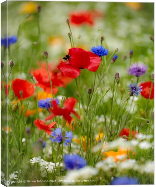 Summer Wild flower meadow with Poppies  Corn flowers and meadow flowers Canvas Print by Simon Johnson