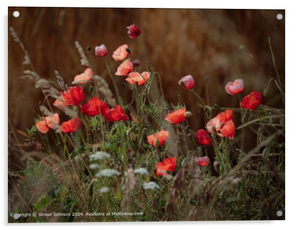  Summer wind blown Poppies in corn with a soft focus  Acrylic by Simon Johnson