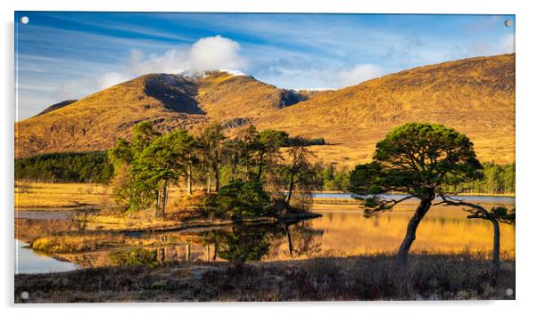 Loch Tulla in the Highlands of Scotland. Acrylic by Andrew Briggs