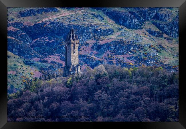 The Wallace monument in Stirling, Scotland. Framed Print by Andrew Briggs