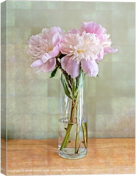 Beautiful peonies Canvas Print by Kevin Wailes