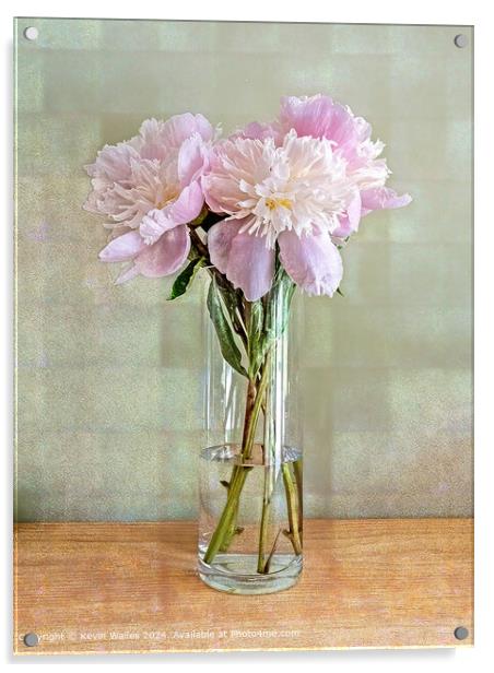 Beautiful peonies Acrylic by Kevin Wailes
