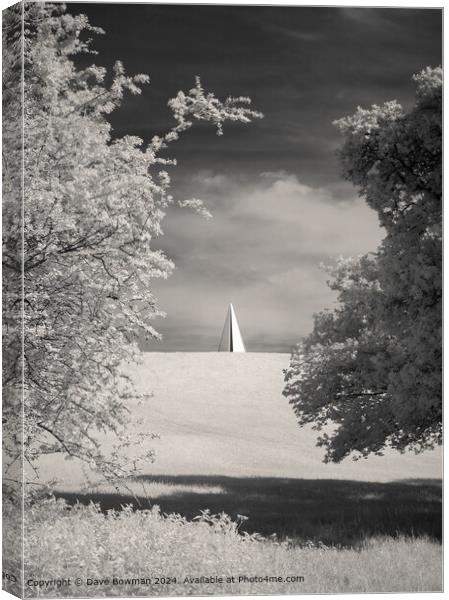 Light Pyramid Infrared Canvas Print by Dave Bowman