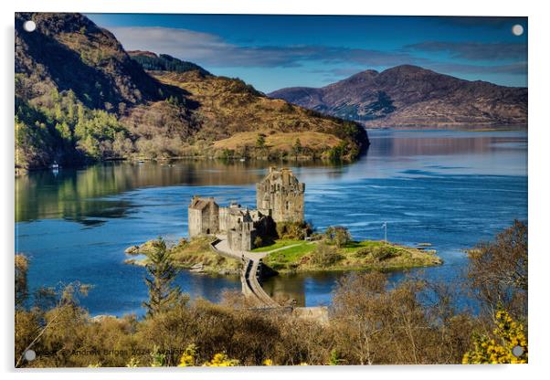 Eilean Donan Castle in the Highlands of Scotland Acrylic by Andrew Briggs