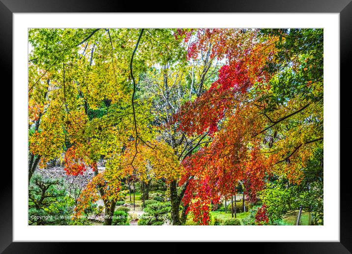 Colorful autumn leaves Garden Heian Shrine Kyoto Japan Framed Mounted Print by William Perry