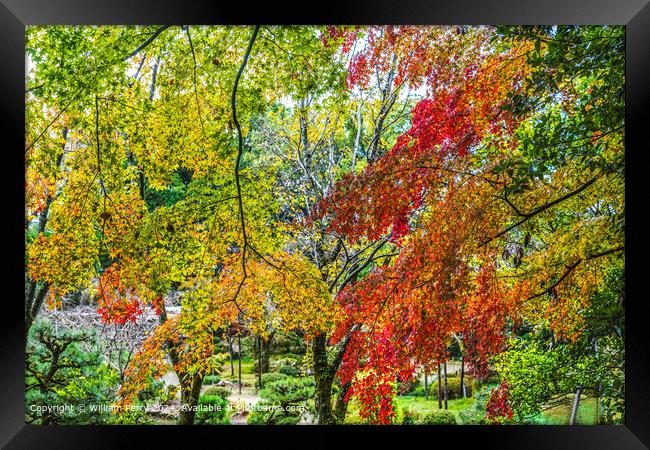 Colorful autumn leaves Garden Heian Shrine Kyoto Japan Framed Print by William Perry