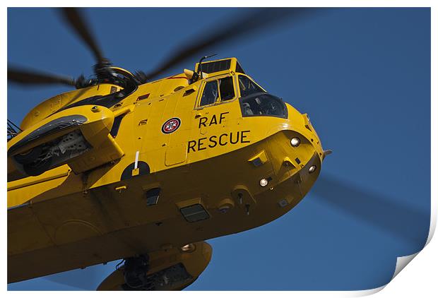 RAF Sea King Helicopter Print by Steve Purnell