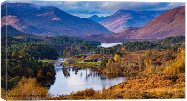 Autumn colours in Glen Affric, Scotland. Canvas Print by Andrew Briggs