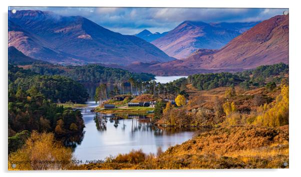 Autumn colours in Glen Affric, Scotland. Acrylic by Andrew Briggs