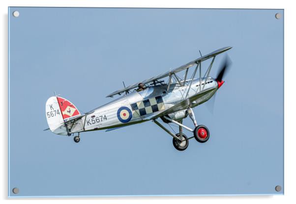 Hawker Fury MkI Acrylic by J Biggadike