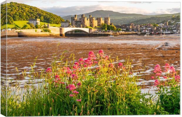 Conwy castle in the golden hour Canvas Print by Gail Johnson