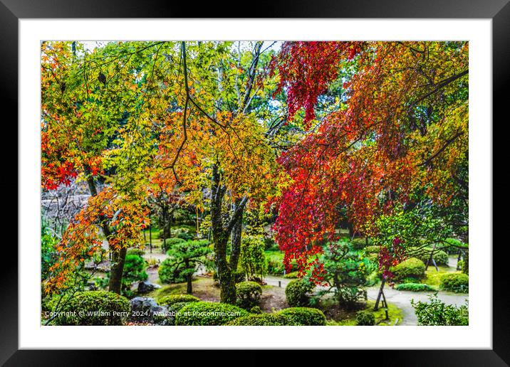 Colorful Fall Autumn Leaves Garden Heian Shinto Shrine Kyoto Japan Framed Mounted Print by William Perry