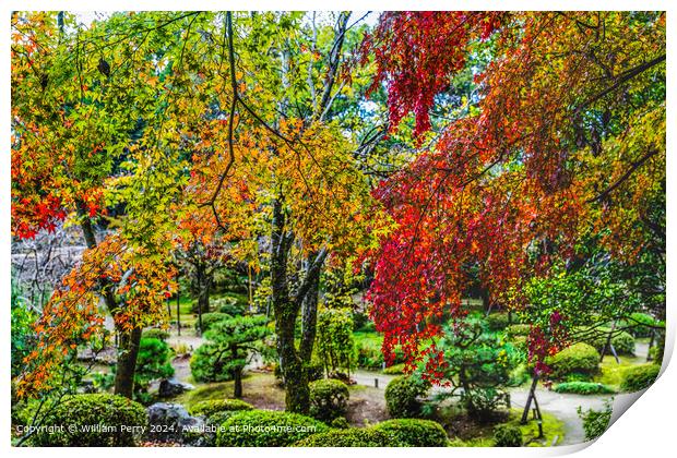 Colorful Fall Autumn Leaves Garden Heian Shinto Shrine Kyoto Japan Print by William Perry