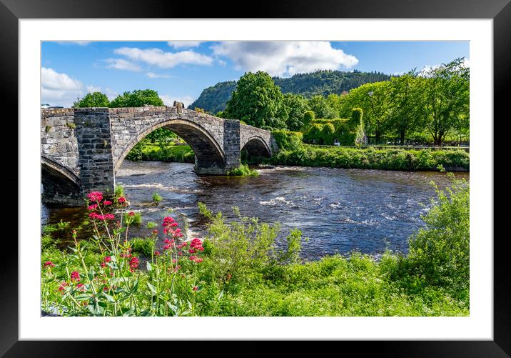 A building covered in green Virginia creeper Framed Mounted Print by Gail Johnson