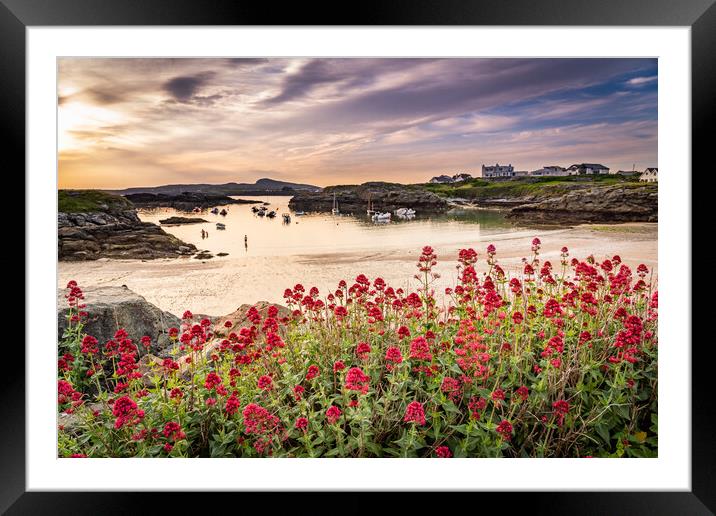 Sunset at Trearddur Bay and Porth Diana Framed Mounted Print by Gail Johnson