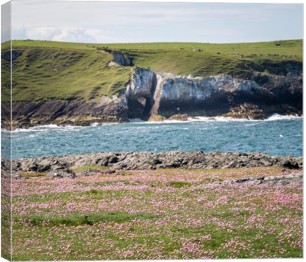 The white arch and sea thrift Anglesey  Canvas Print by Gail Johnson