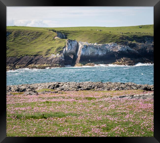 The white arch and sea thrift Anglesey  Framed Print by Gail Johnson