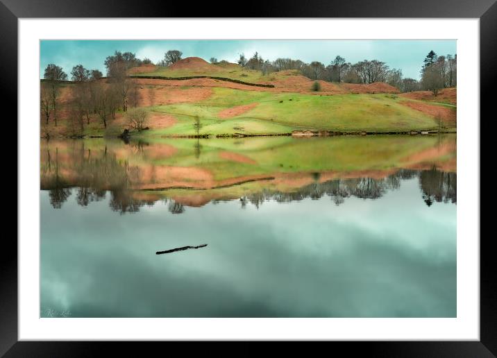 Floating Log Tarn Hows Framed Mounted Print by Kate Lake