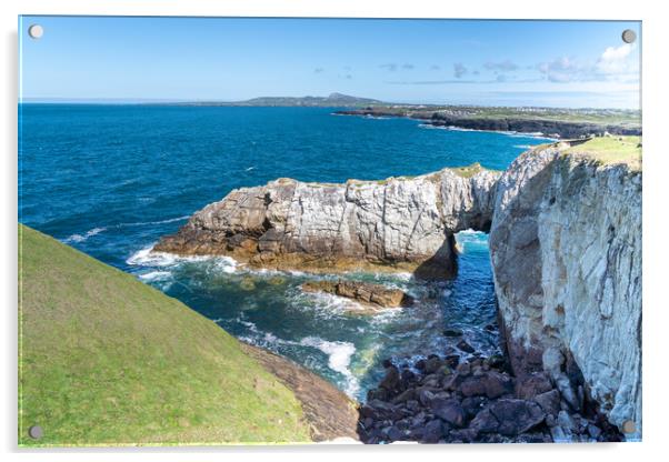 The white arch and sea thrift Anglesey  Acrylic by Gail Johnson