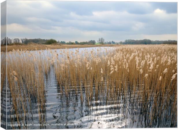 Lopham fen  Canvas Print by Kevin Wailes