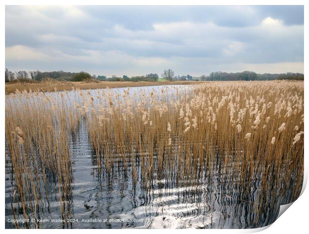 Lopham fen  Print by Kevin Wailes