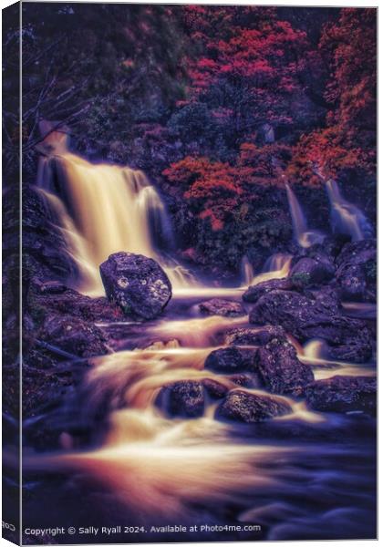 A beautiful waterfall next to lnversnaide Hotel, S Canvas Print by Sally Ryall
