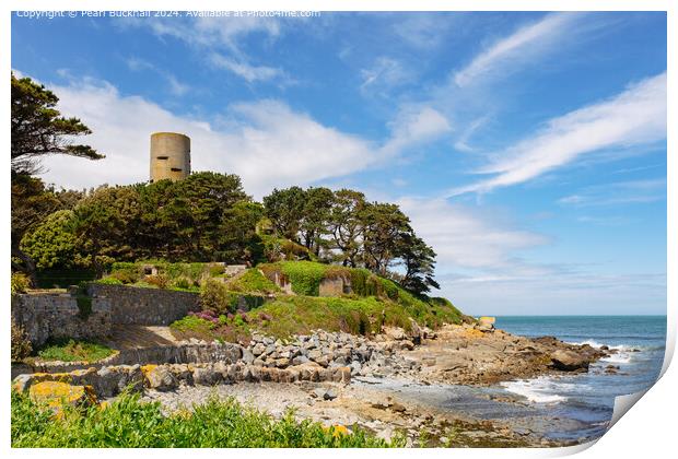 Fort Saumarez on Guernsey Coast Print by Pearl Bucknall