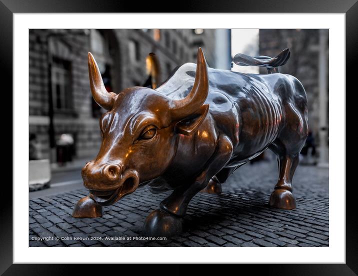 The Iconic, New York, Charging Bull. A bronze sculpture by artist Arturo Di Modica. Framed Mounted Print by Colin Keown