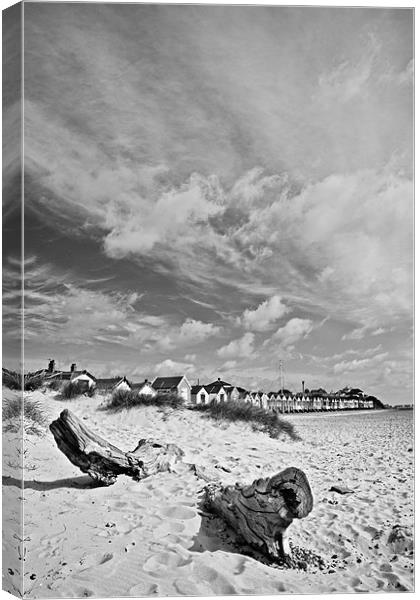 Line of Beach Huts on Southwold Beach Canvas Print by Paul Macro