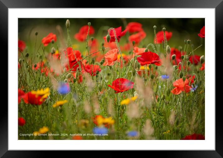 sunlit poppies and meadows in a wild flower meadow Framed Mounted Print by Simon Johnson