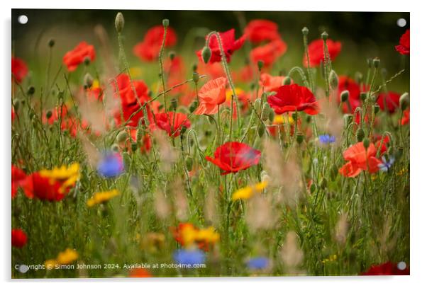 sunlit poppies and meadows in a wild flower meadow Acrylic by Simon Johnson