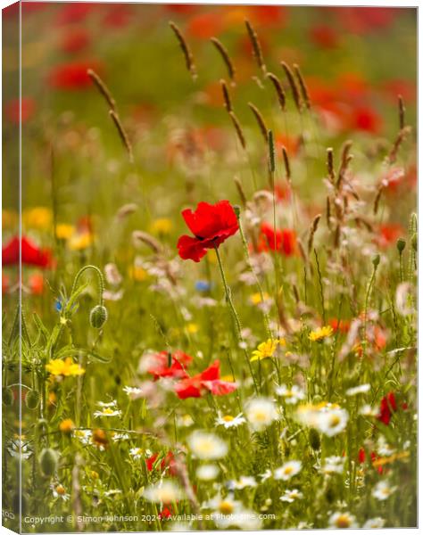 Sunlit wild flowers with poppies and Cornfields  Cotswolds Gloucestershire  Canvas Print by Simon Johnson