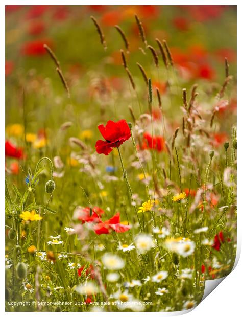 Sunlit wild flowers with poppies and Cornfields  Cotswolds Gloucestershire  Print by Simon Johnson