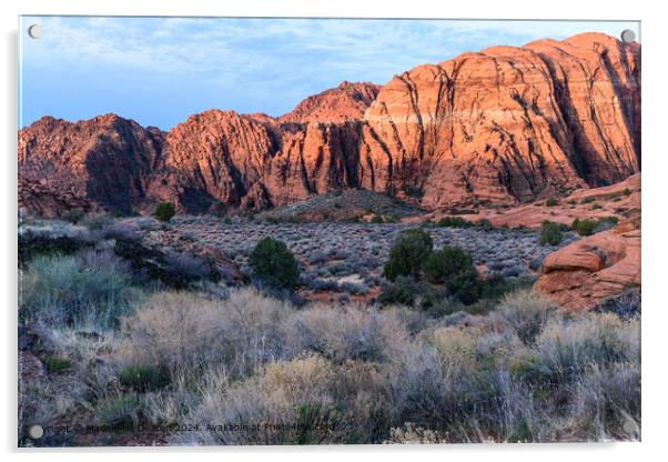 Stunning Sunrise Glow on the Red Rock Cliffs at Sn Acrylic by Madeleine Deaton