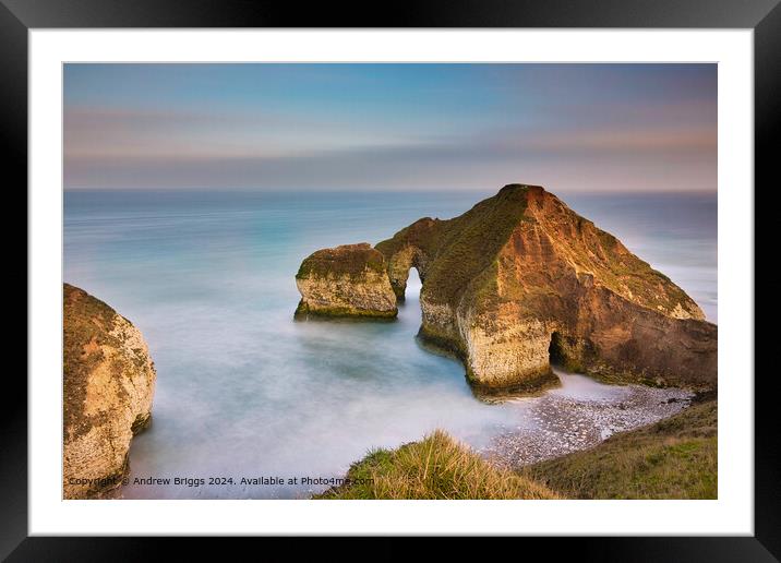 The Drinking Dinosaur, a unique rock formation at Flamborough Head on the Yorkshire Coast. Framed Mounted Print by Andrew Briggs