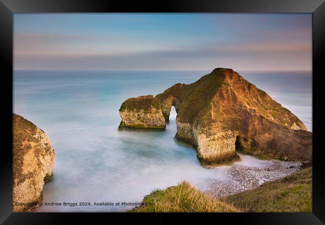 The Drinking Dinosaur, a unique rock formation at Flamborough Head on the Yorkshire Coast. Framed Print by Andrew Briggs