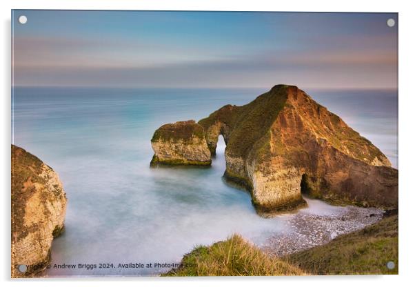 The Drinking Dinosaur, a unique rock formation at Flamborough Head on the Yorkshire Coast. Acrylic by Andrew Briggs