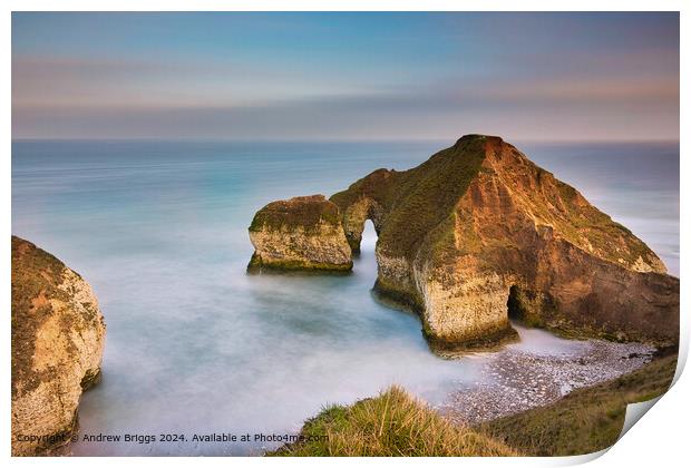 The Drinking Dinosaur, a unique rock formation at Flamborough Head on the Yorkshire Coast. Print by Andrew Briggs