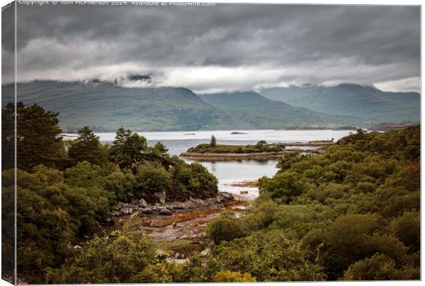 Shaggy Highland Cows grazing by the shores of Loch Carron  Canvas Print by Tom McPherson
