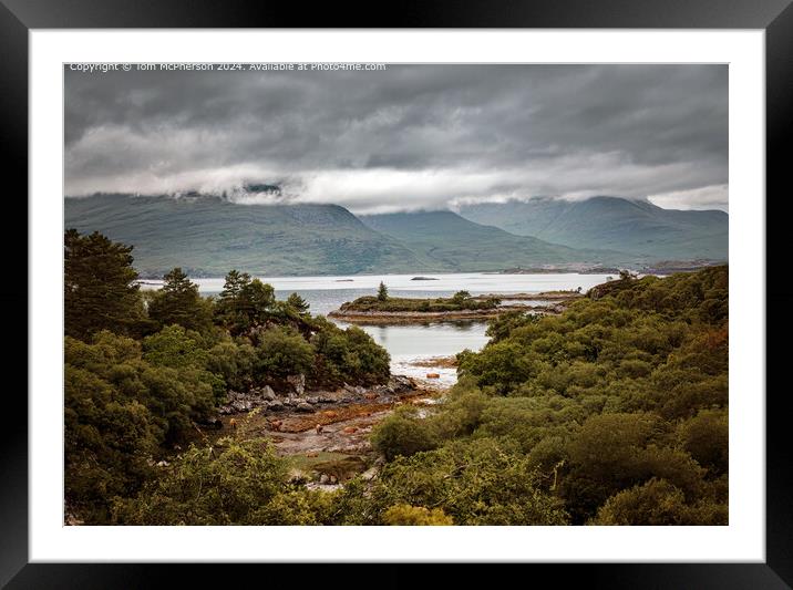 Shaggy Highland Cows grazing by the shores of Loch Carron  Framed Mounted Print by Tom McPherson