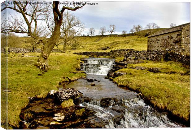 Cray Gill Beck Waterfall Canvas Print by Trevor Kersley RIP