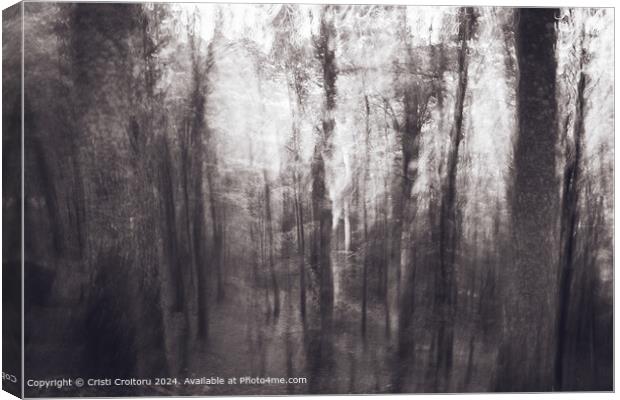 Abstract forest Canvas Print by Cristi Croitoru