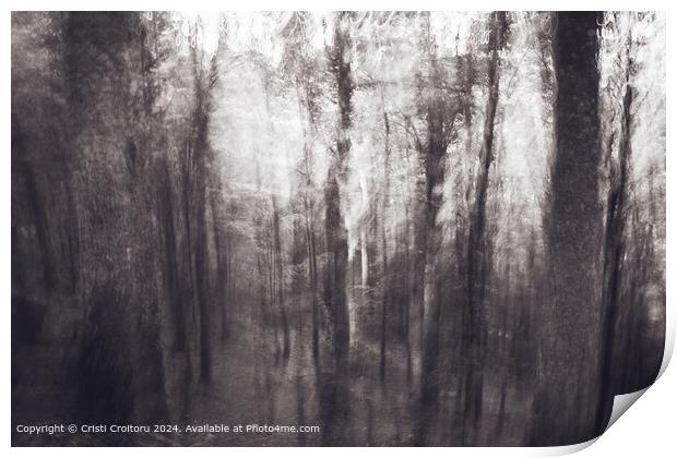 Abstract forest Print by Cristi Croitoru