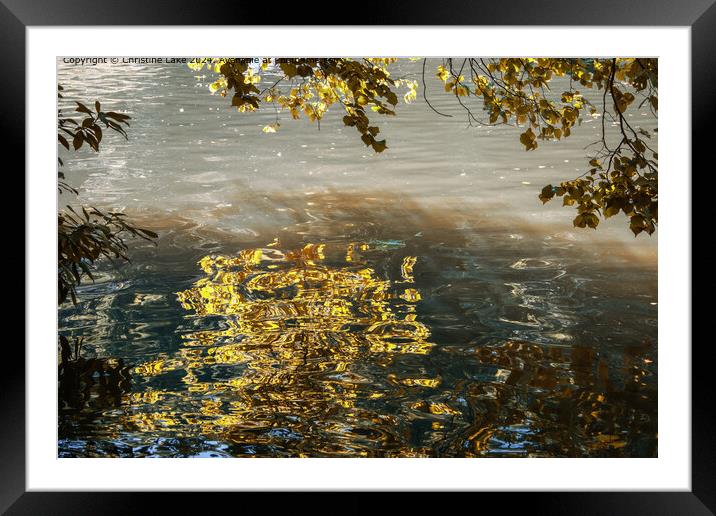 Liquid Gold Framed Mounted Print by Christine Lake